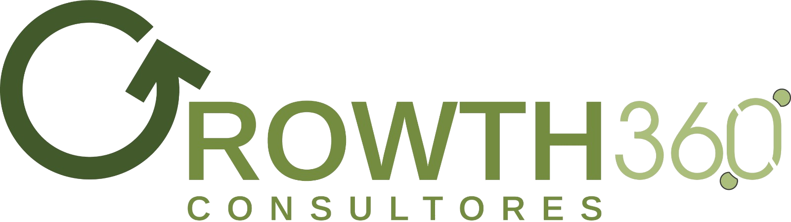 Growth360 Consultores